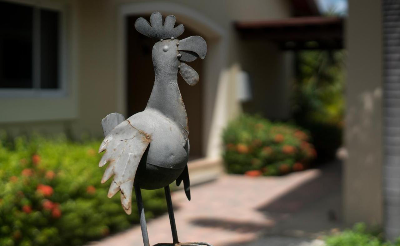 Costa Esmeralda Village Palm Beach Exterior photo